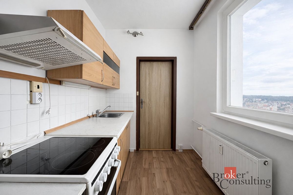 Pronájem bytu 1+1 38 m² thumbnail 12
