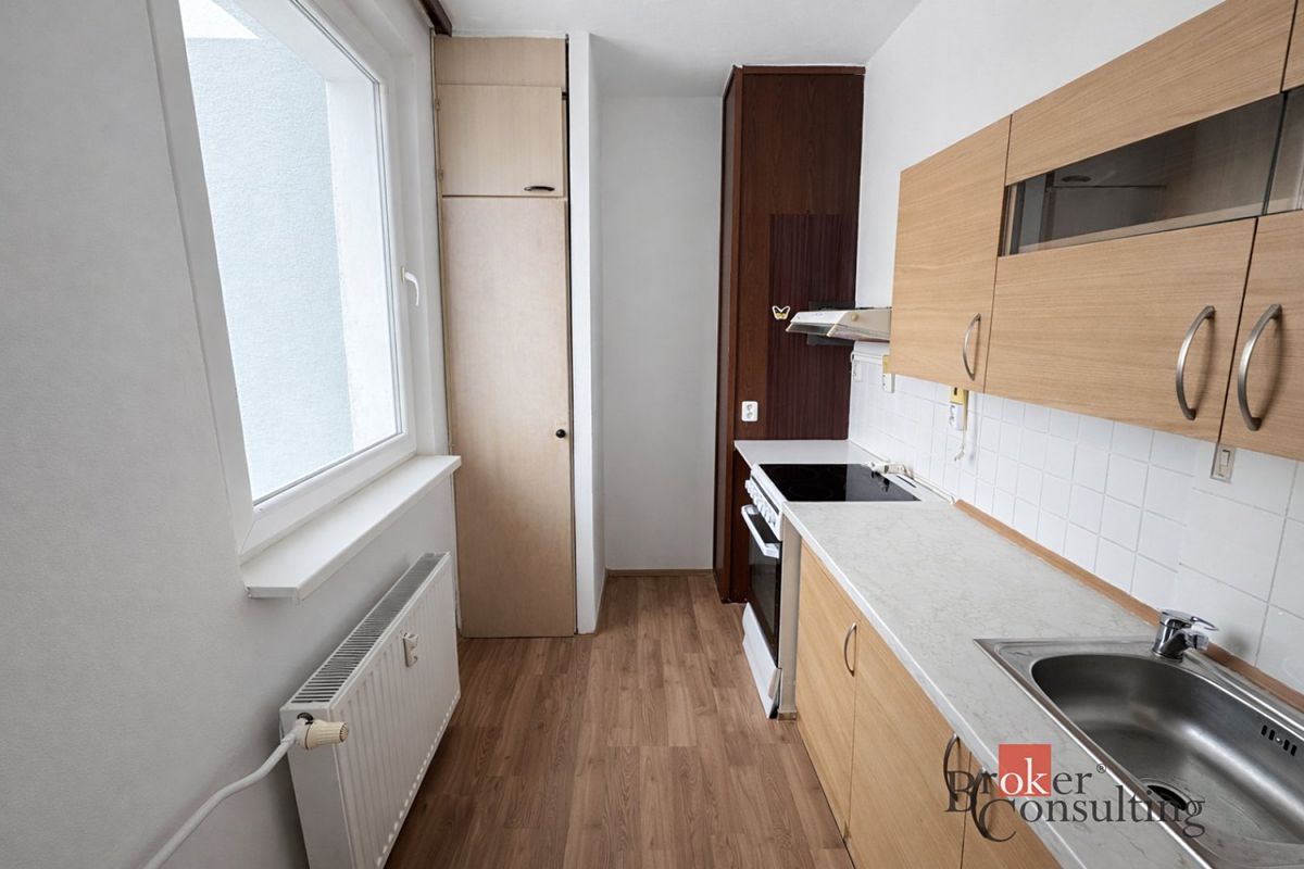 Pronájem bytu 1+1 38 m² thumbnail 13